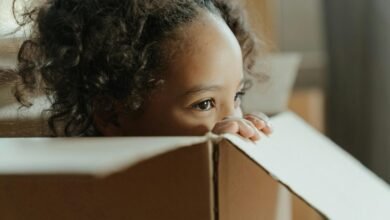 exploring meshgame features thoroughly