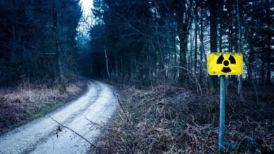 caller id security alert