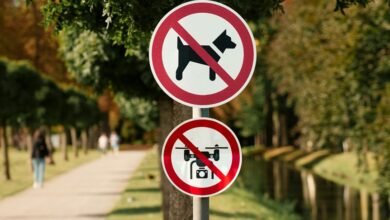 communication access hotline directory