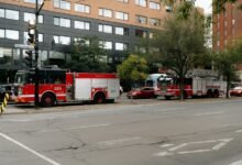 emergency contact support numbers