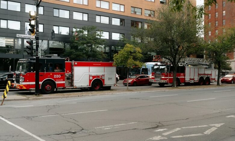 emergency contact support numbers