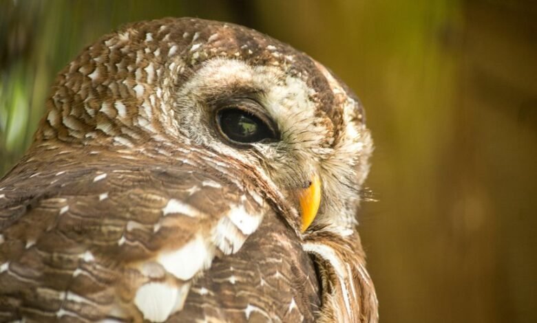 suspicious contact alert hotline