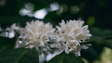 microstar88 slot gaming platform