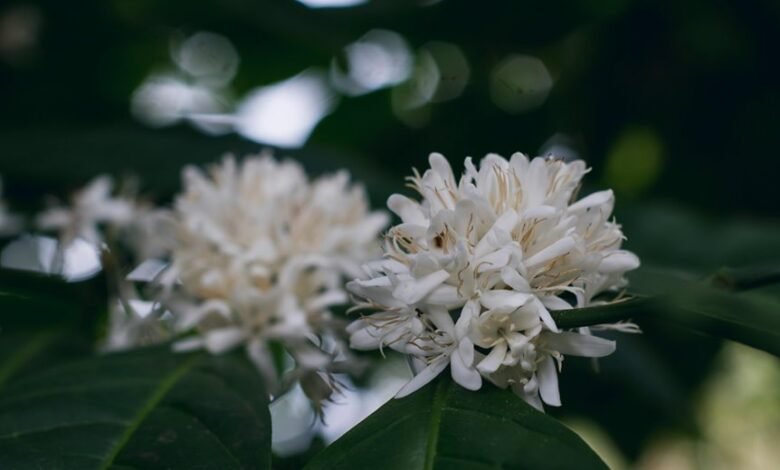 microstar88 slot gaming platform