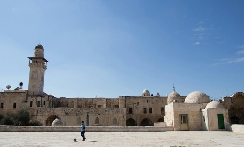 microstar88 soccer website resource